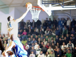 Domestic leagues: Balkan won the BIBL derby versus Rilski