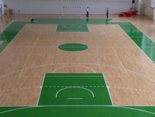 Trepca′s gym is ready to accept the National team and BIBL